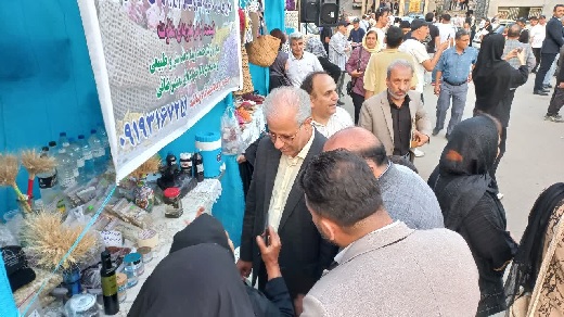 بازدید بخشدار رودبارقصران از غرفه‌های مراسم گرامیداشت روز ملی خلنو